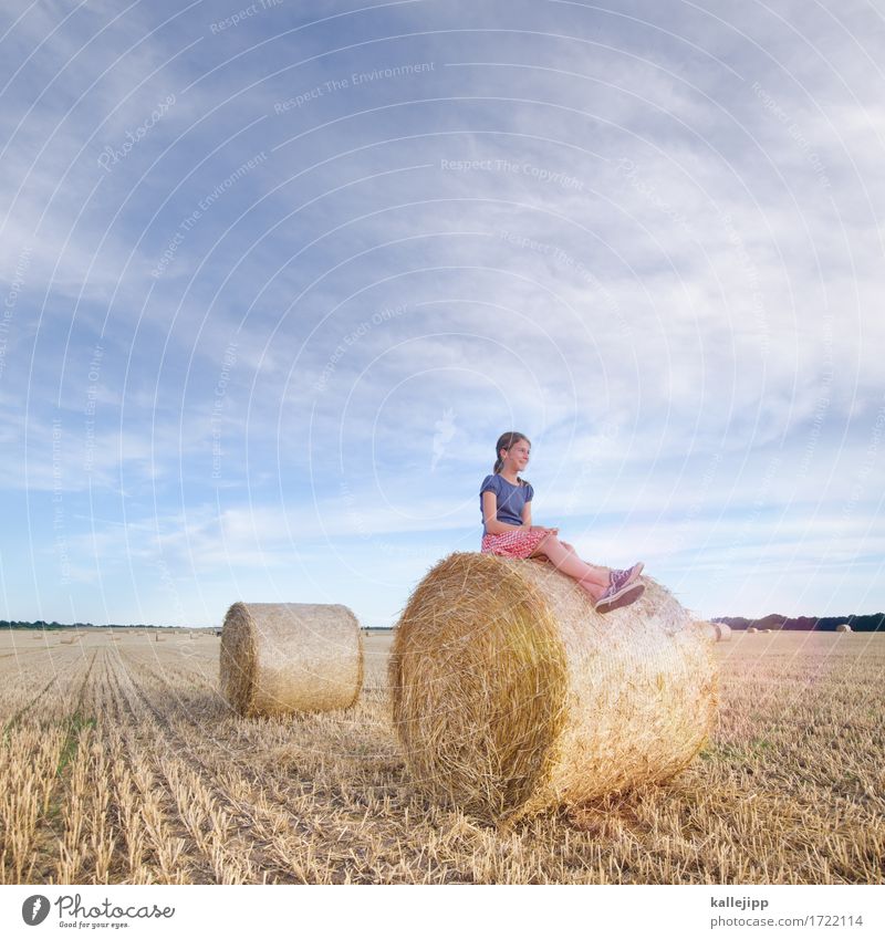 Girl on hay bales girl Infancy Life 1 Human being Environment Nature Landscape Beautiful weather Field Sit Bale of straw Relaxation Future smile Calm Summer