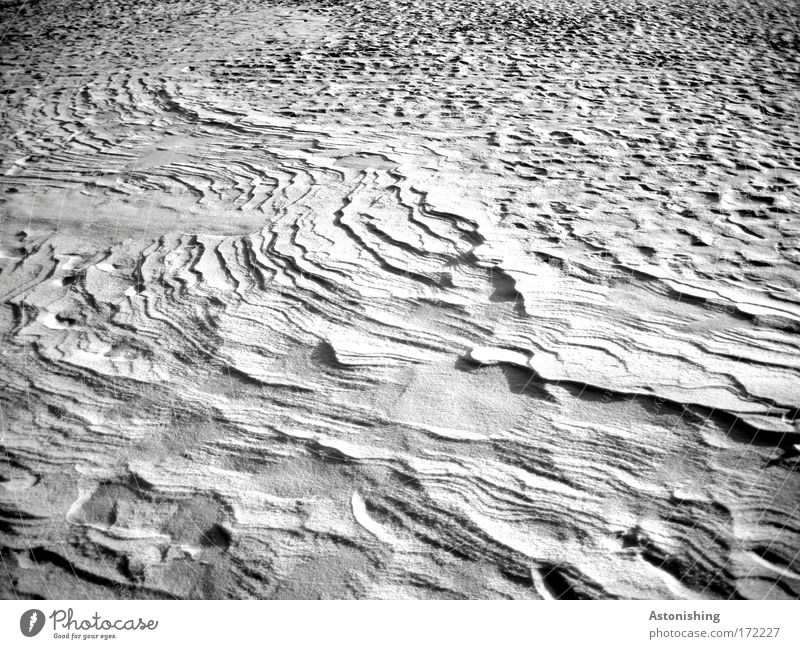 Snow - Relief Environment Nature Winter Ice Frost Cold White Black & white photo Exterior shot Deserted Shadow Contrast Background picture Snow layer Snowscape