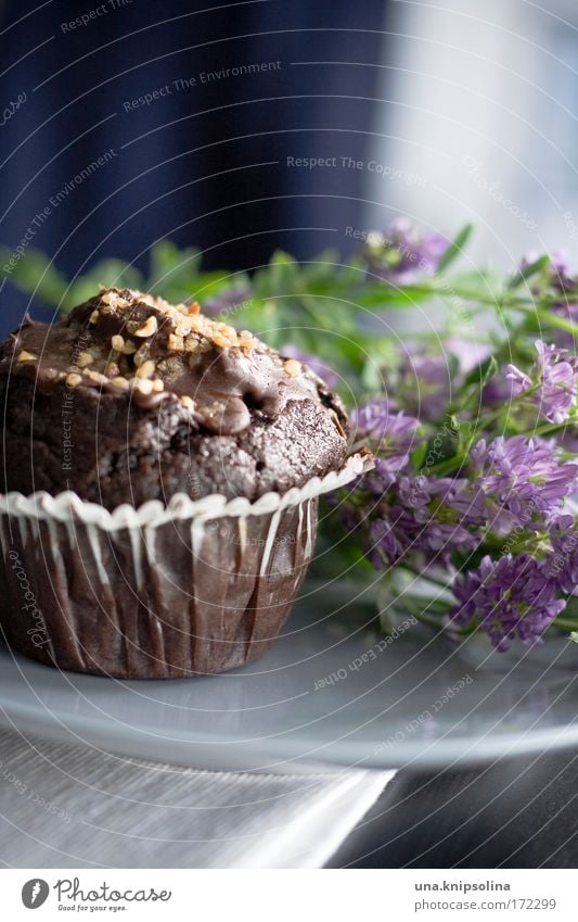 chocolate muffin Food Dough Baked goods Cake Dessert Chocolate Nutrition To have a coffee Diet Blossoming Fragrance Feasts & Celebrations To enjoy Fresh