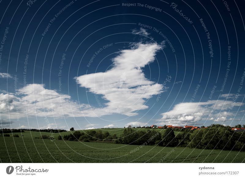cloud pictures Colour photo Exterior shot Detail Deserted Copy Space left Copy Space right Copy Space top Copy Space middle Day Shadow Contrast Sunlight