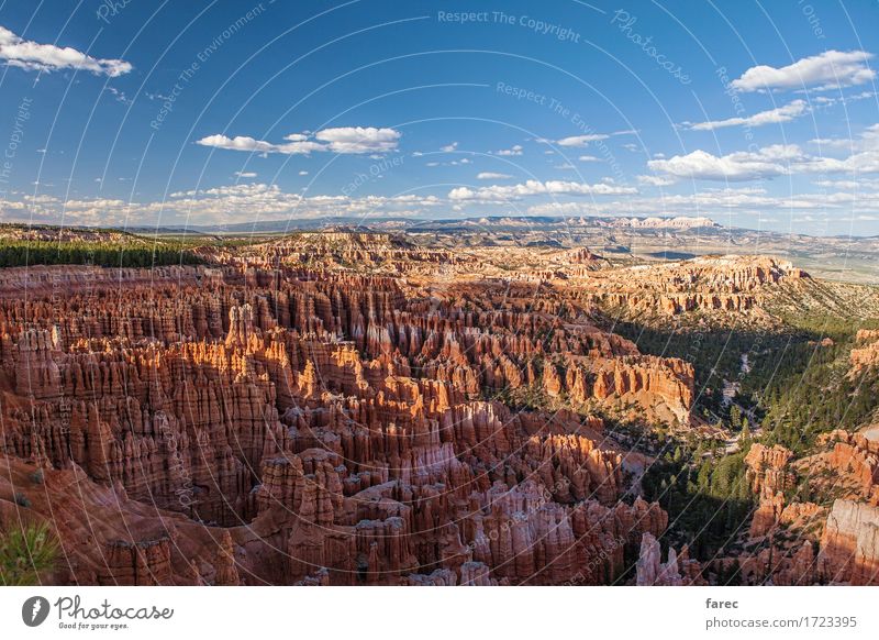Bryce Canyon National Park Nature Landscape Plant Earth Sand Air Summer Beautiful weather Tree Desert Bryce Amphitheater Tourist Attraction Stone Observe