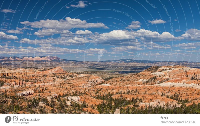 Bryce Canyon National Park Nature Landscape Plant Earth Sand Air Sky Clouds Beautiful weather Tree Desert Bryce Amphitheater Tourist Attraction Stone Relaxation