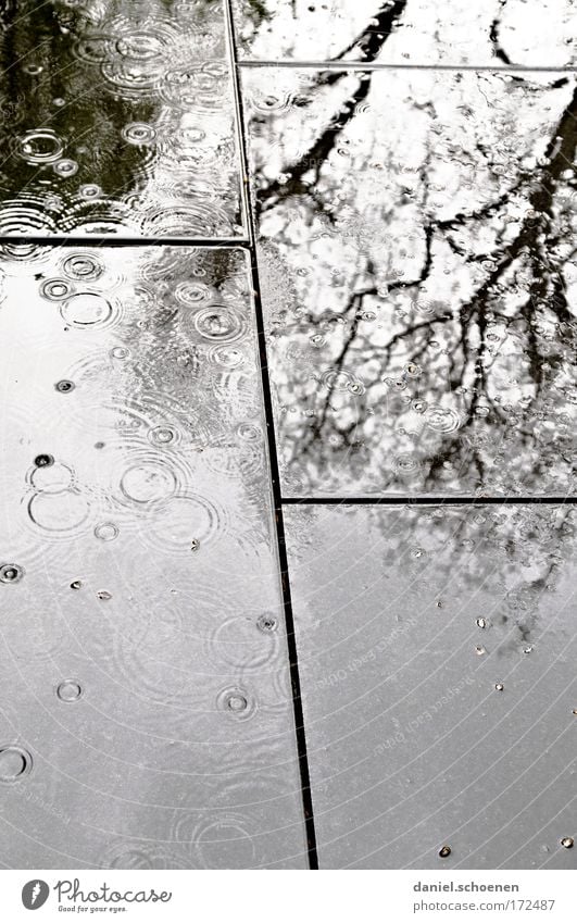 weather outlook Subdued colour Deserted Light Shadow Silhouette Reflection Water Drops of water Bad weather Rain Stone Dark Fluid Wet Gray Black Sadness Grief