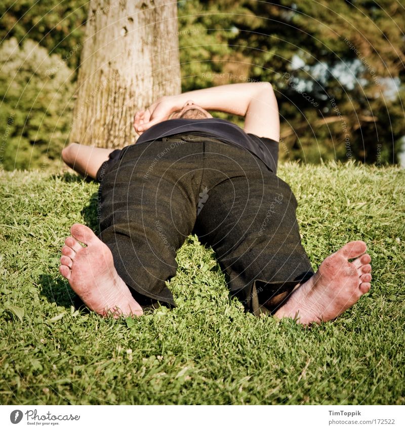 Black-footed Europeans Exterior shot Garden Park Meadow Sleep Relaxation Doze Snoring Lie Calm Wellness Dirty Feet Lawn for sunbathing Break Contentment Siesta