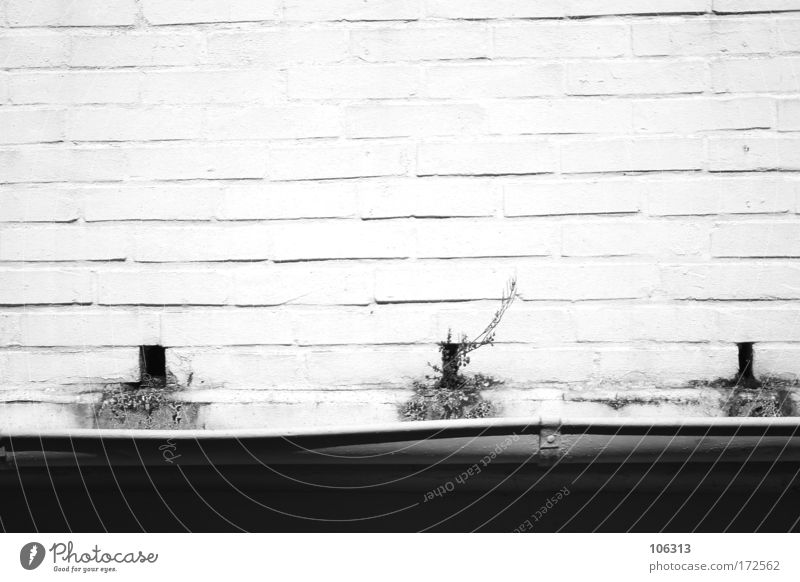Photo number 128148 Black & white photo Exterior shot Experimental Pattern Structures and shapes Deserted Copy Space top Morning Day Light Shadow Contrast