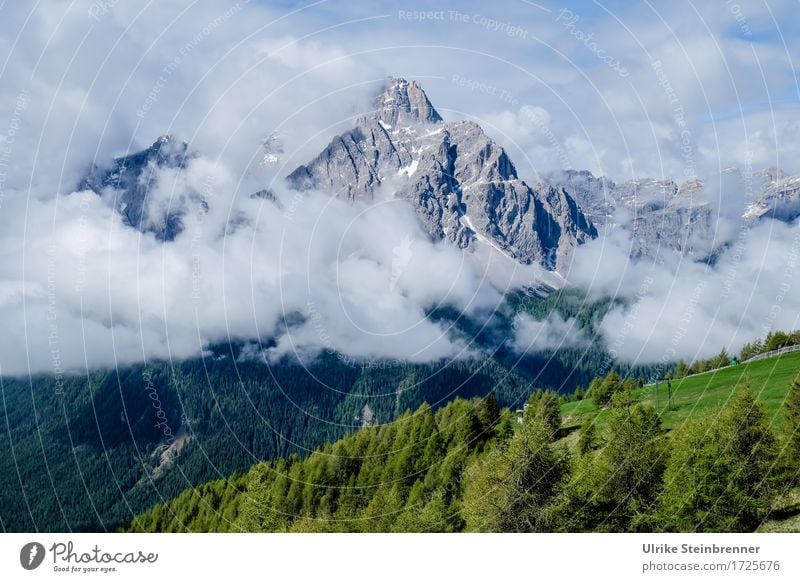 Sesto Dolomites 2 Vacation & Travel Tourism Trip Adventure Summer vacation Mountain Hiking Environment Nature Landscape Plant Air Sky Clouds Beautiful weather