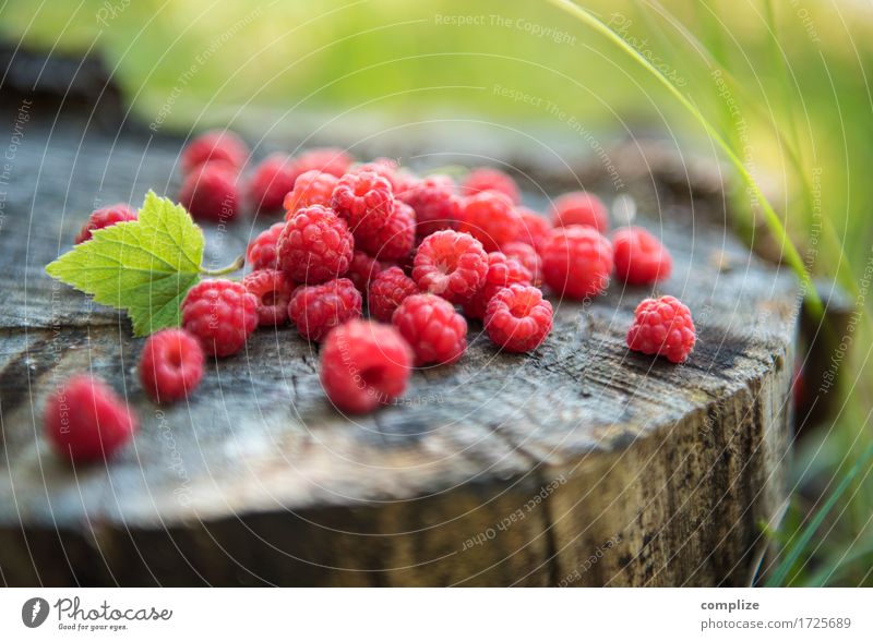 raspberries Nutrition Eating Lunch Buffet Brunch Picnic Organic produce Vegetarian diet Lifestyle Healthy Healthy Eating Plant Idyll Wellness Raspberry Berries