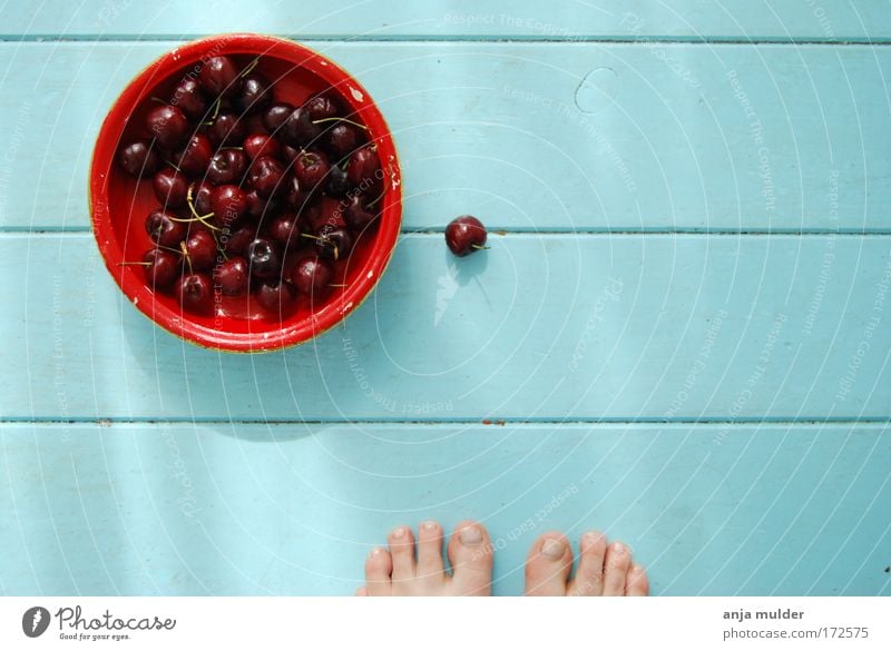 Cherry time Colour photo Deserted Day Bird's-eye view Androgynous Summer Bowl Beautiful Fruit basket Feet Story Baby blue