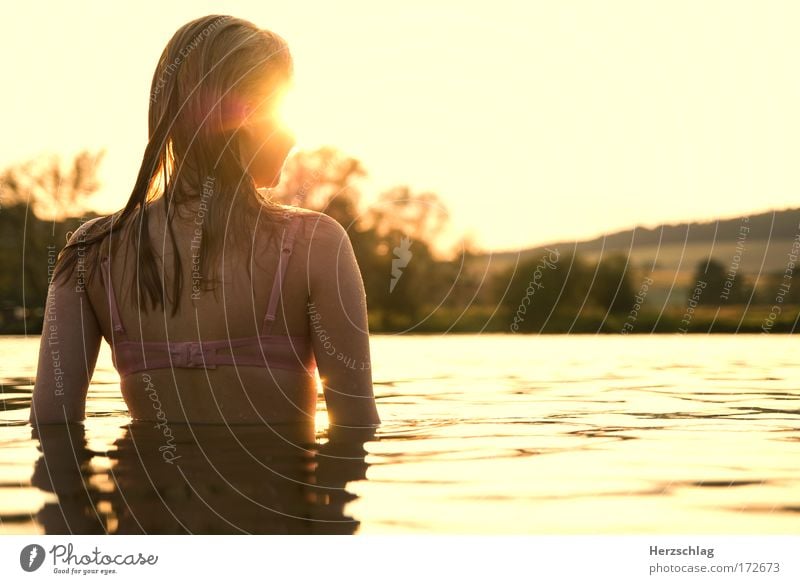 Longing. Colour photo Exterior shot Copy Space right Upper body Rear view Looking away Feminine Head Hair and hairstyles Back Water Swimming & Bathing Touch