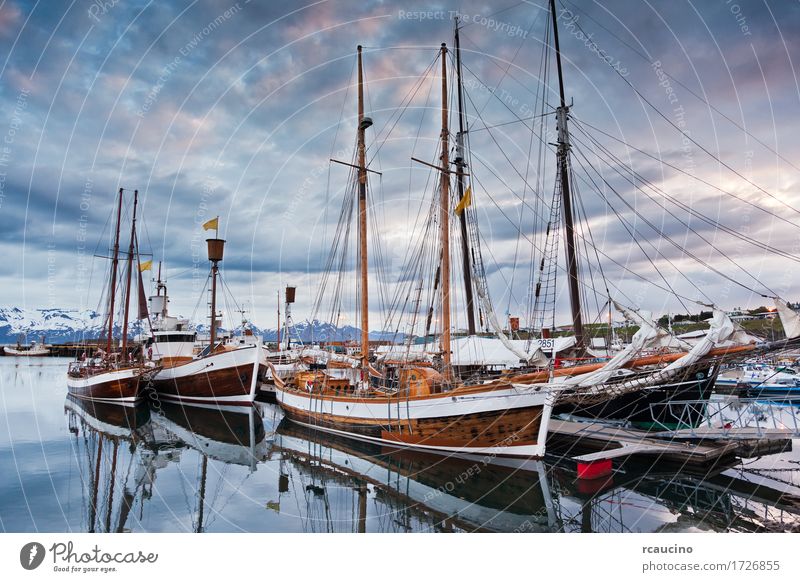 Schooners, original icelandic sailing boat Beautiful Relaxation Vacation & Travel Tourism Adventure Summer Ocean Group Nature Landscape Harbour Yacht Motorboat