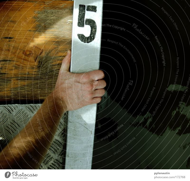 Number 5 is alive! Colour photo Subdued colour Exterior shot Copy Space right Day Shadow Reflection Downward Relaxation Calm Arm Hand Wood Metal Water