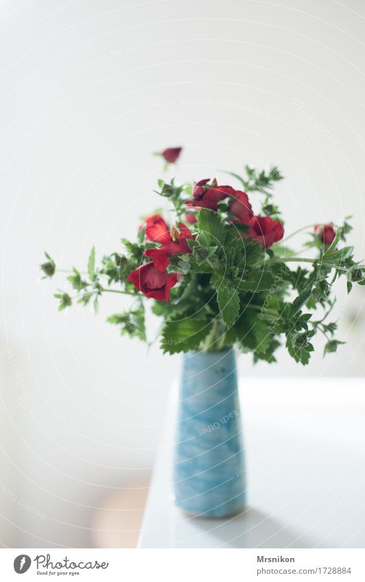 red on green Plant Esthetic Vase Light blue Pottery Mother's Day Birthday Strawberry blossom Green Red Foliage plant Bouquet Picked Colour photo Interior shot