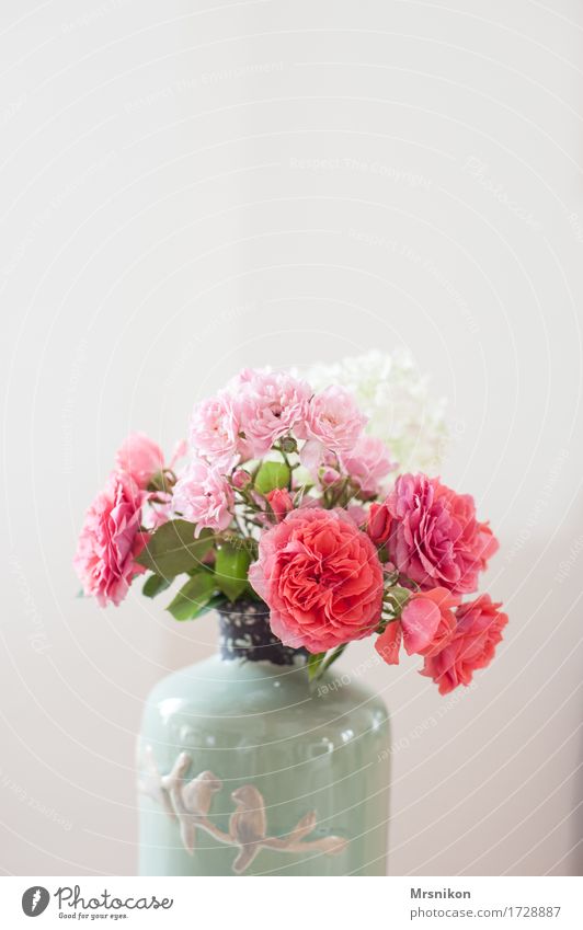 roses Plant Flower Leaf Blossom Illuminate Vase Bouquet Mother's Day Birthday Donate Pink Pottery Beautiful Lovely Summery Picked Colour photo Subdued colour