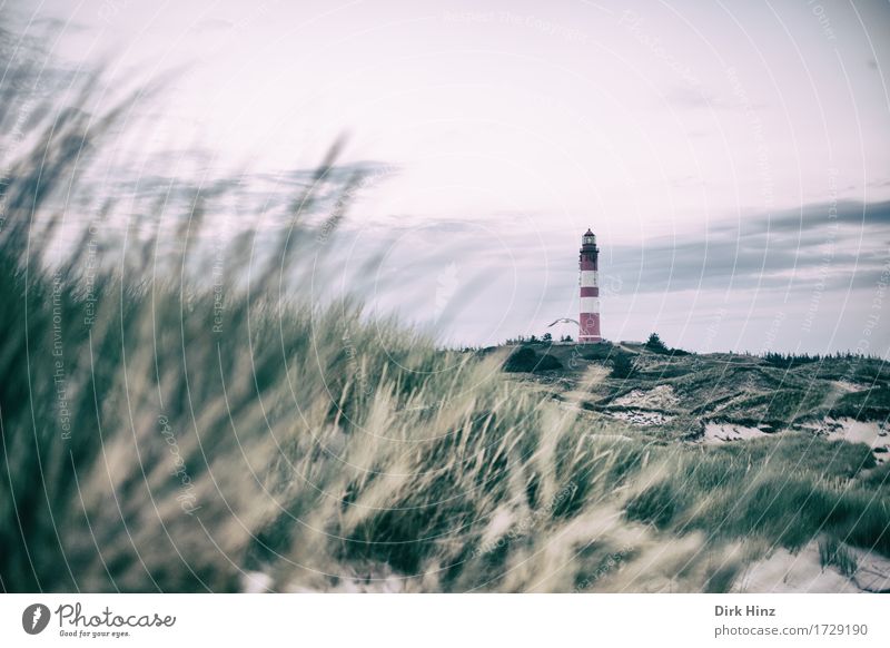 Lighthouse Wittdün / Amrum Cure Vacation & Travel Tourism Trip Far-off places Freedom Summer Summer vacation Beach Ocean Island Navigation Sign Road sign Hope