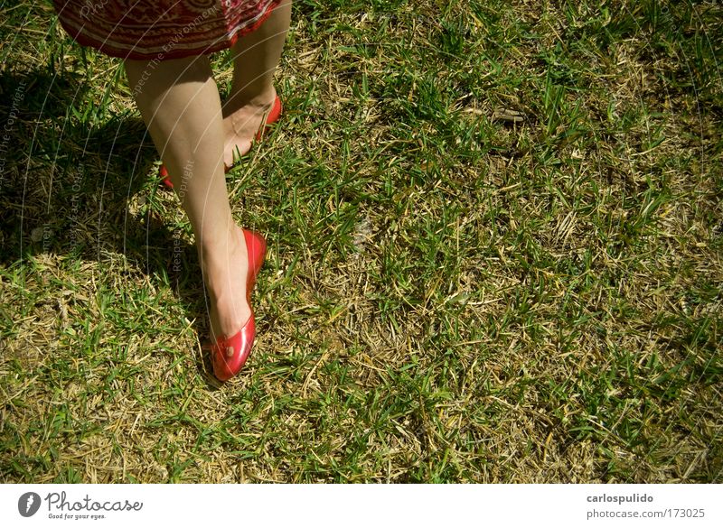 Colour photo Exterior shot Morning Feminine Legs Feet Lawn Field Footwear Red