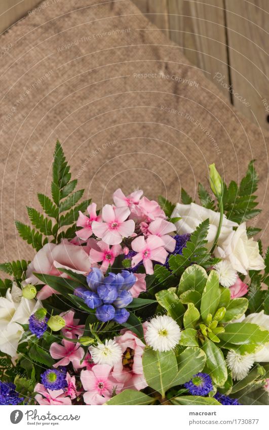 bouquet Bouquet Flower Blossom Phlox Pink Fern Baby's-breath Rose Veronica Bird's eye honorary prize Birthday Valentine's Day Father's Day Gift Isolated Image
