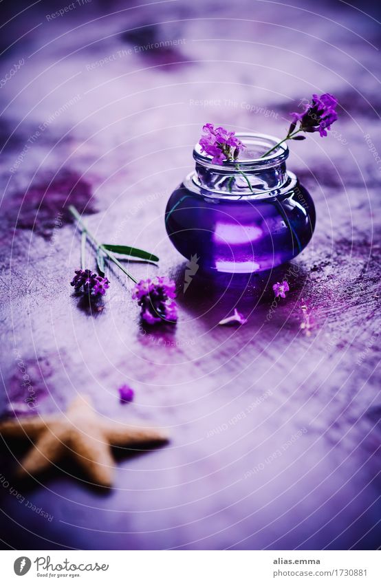 Lavender Syrup Violet Sugar Sweet Beverage Starfish Blossoming Herbs and spices Background picture Plant Aromatic Sense of taste Glassbottle Food Healthy Eating
