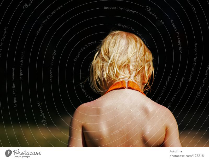 In thought Colour photo Copy Space left Day Upper body Rear view Human being Feminine Skin Head Hair and hairstyles Back Arm 1 Nature Water Drops of water Sun