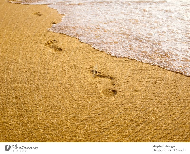 Footprints at the beach Relaxation Vacation & Travel Far-off places Summer Summer vacation Beach Sand Going To enjoy wave waves foam spum sunny stressed
