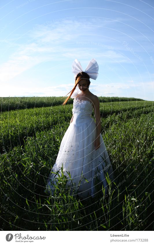AnimeBride Colour photo Exterior shot Deep depth of field Central perspective Full-length Front view Downward Looking away Wedding Human being Feminine