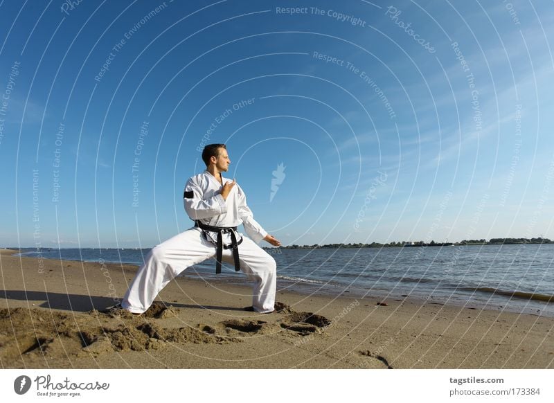 WATCHERS. Beach fighter Martial arts Martial artist Elbe Taekwondo Sebastian Clever Testing & Control Power Force Dynamics Precision black belt Black Belt