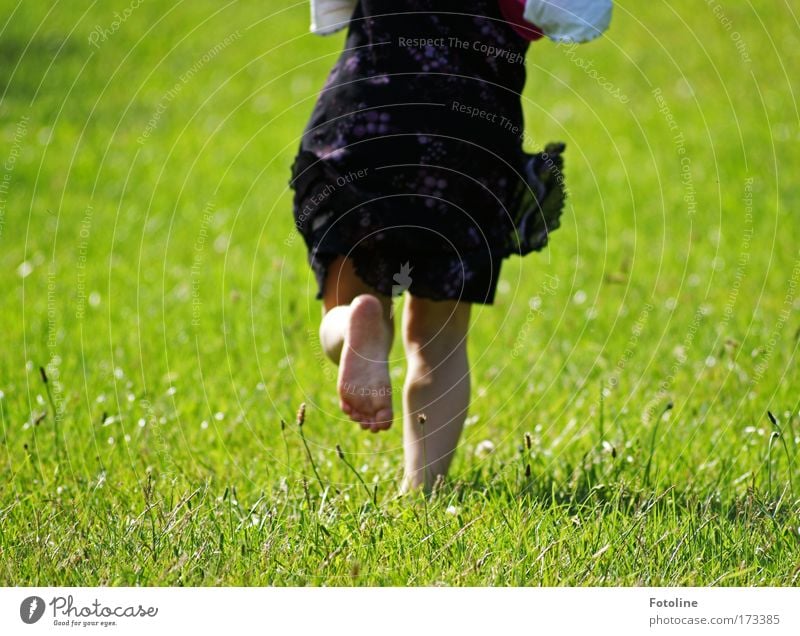 Run, Laura! Colour photo Multicoloured Exterior shot Day Sunlight Human being Girl Back Legs 1 3 - 8 years Child Infancy Environment Nature Landscape Earth