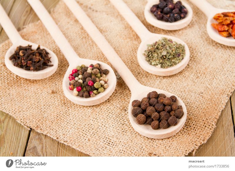 spices on spoons Herbs and spices Wooden spoon Clove Pimento Juniper Ingredients Spicy season Pepper Peppercorn Multicoloured Marjoram Basil Powder Fruit Dried