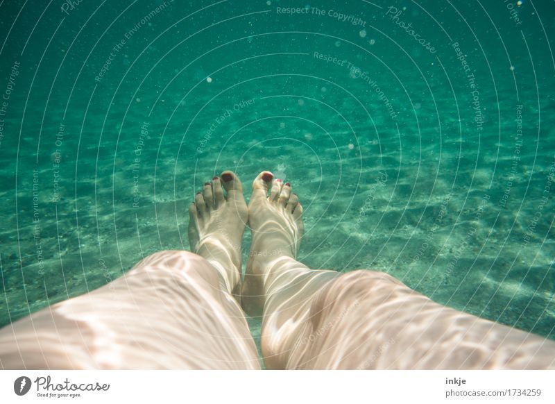 In the sea Wellness Leisure and hobbies Vacation & Travel Summer Summer vacation Beach Ocean Woman Adults Life Legs Feet Women`s feet 1 Human being Sand Water