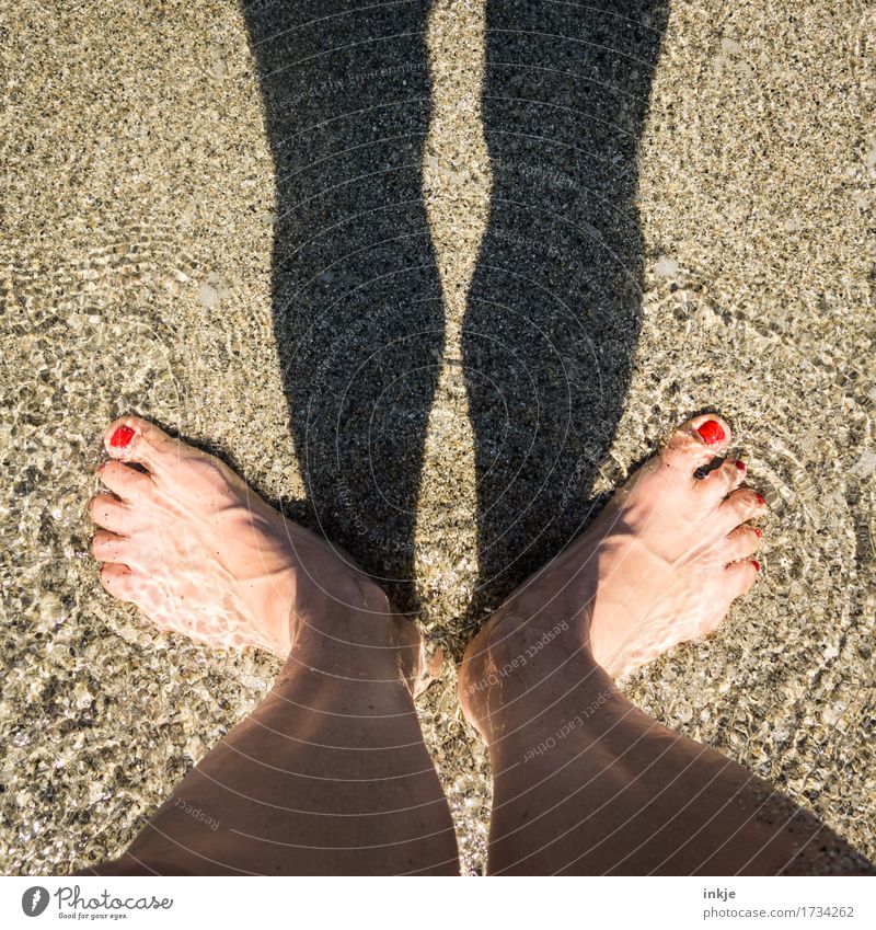 cooling down Lifestyle Beautiful Nail polish Leisure and hobbies Vacation & Travel Summer Summer vacation Sun Beach Ocean Sandy beach Woman Adults Legs Feet