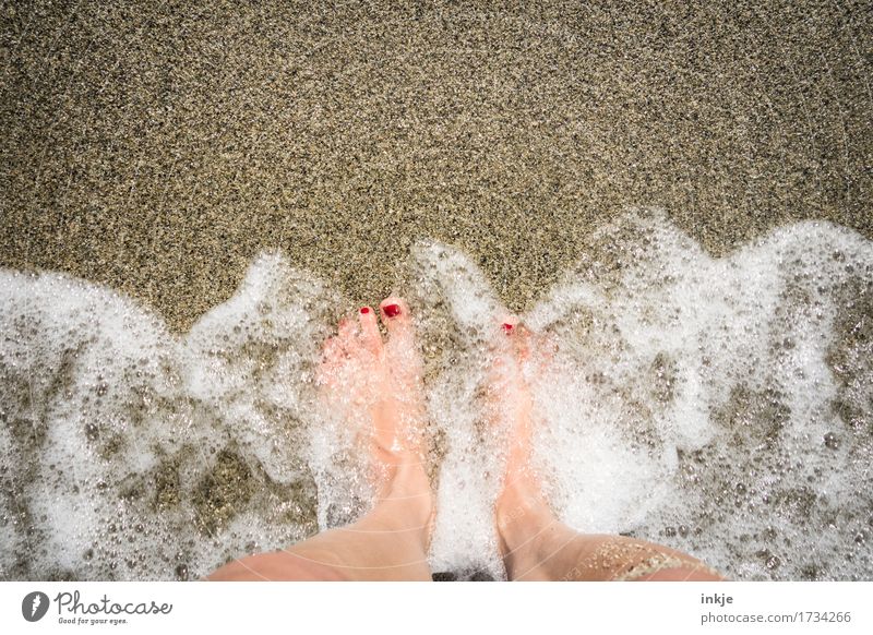 foamed Beautiful Nail polish Healthy Wellness Well-being Senses Spa Vacation & Travel Summer Summer vacation Sun Beach Ocean Waves Woman Adults Life Feet