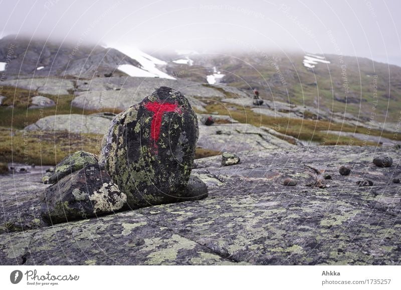 Red T-marking on a rock in a barren Norwegian mountain landscape Mountain Hiking Landscape Bad weather Fog Rain Rock Lanes & trails Sign Characters Gray