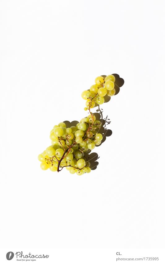 what was available / grapes Food Fruit Bunch of grapes Nutrition Organic produce Healthy Delicious Green Colour photo Interior shot Studio shot Deserted