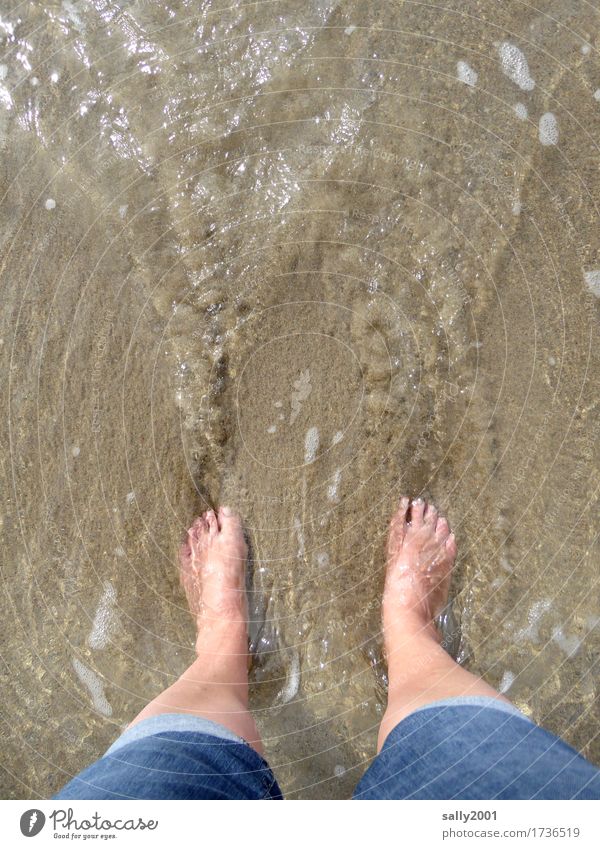 Foot bath... Harmonious Well-being Relaxation Meditation Vacation & Travel Freedom Summer Summer vacation Sun Beach Ocean Feminine Legs Feet 1 Human being Jeans