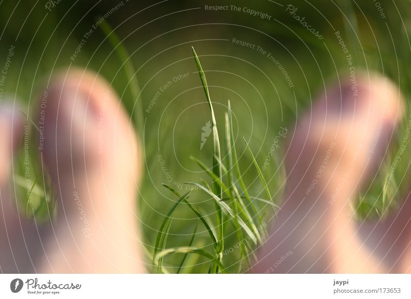 transparency Colour photo Exterior shot Close-up Copy Space top Copy Space middle Day Blur Shallow depth of field Long shot Human being Feet Toes Toenail