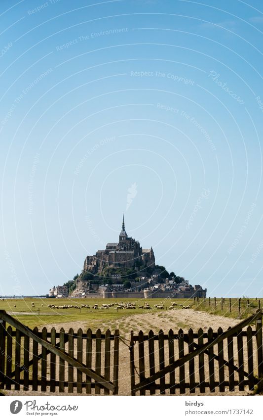 Mont - Saint - Michel at low tide Vacation & Travel Tourism Sightseeing Summer Summer vacation Agriculture Forestry Cloudless sky Beautiful weather Meadow Rock