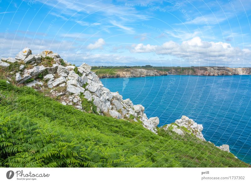 crozon peninsula in Brittany Summer Ocean Nature Landscape Plant Water Bushes Rock Coast Stone Maritime Natural Beautiful Crozon peninsula Atlantic Ocean