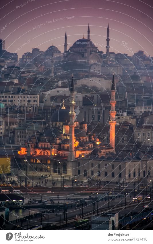 View of mosques in Istanbul II Evening Blue Historic Hill Turkey Mosque Blue Mosque Religion and faith Europe Minaret Panorama (View) Sunset Artificial light