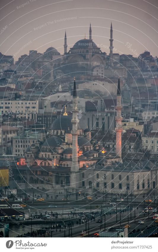 View of mosques in Istanbul I Evening Blue Historic Hill Turkey Mosque Blue Mosque Religion and faith Europe Minaret Panorama (View) Sunset Artificial light