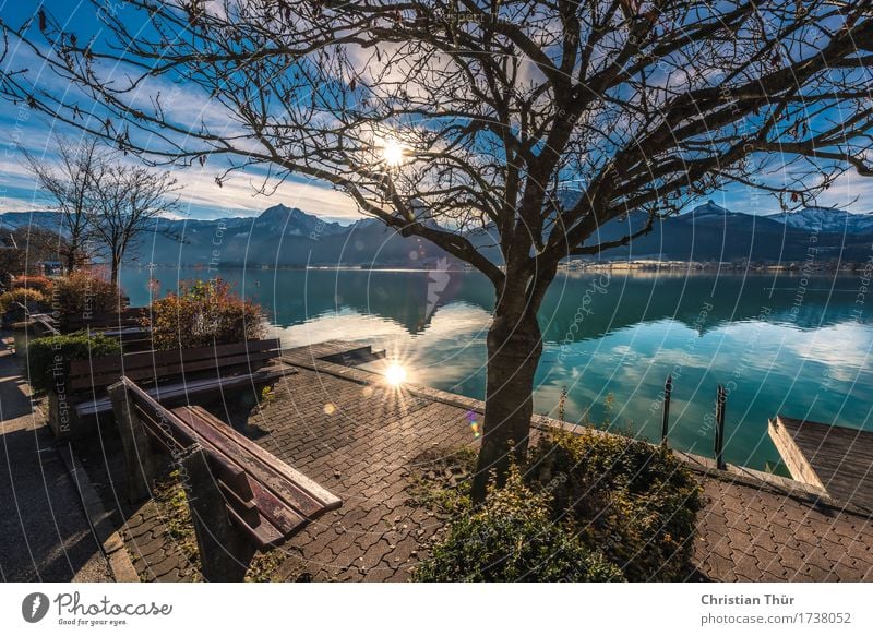 Lake Wolfgangsee Life Harmonious Well-being Contentment Senses Relaxation Calm Meditation Swimming & Bathing Vacation & Travel Tourism Trip Adventure Freedom