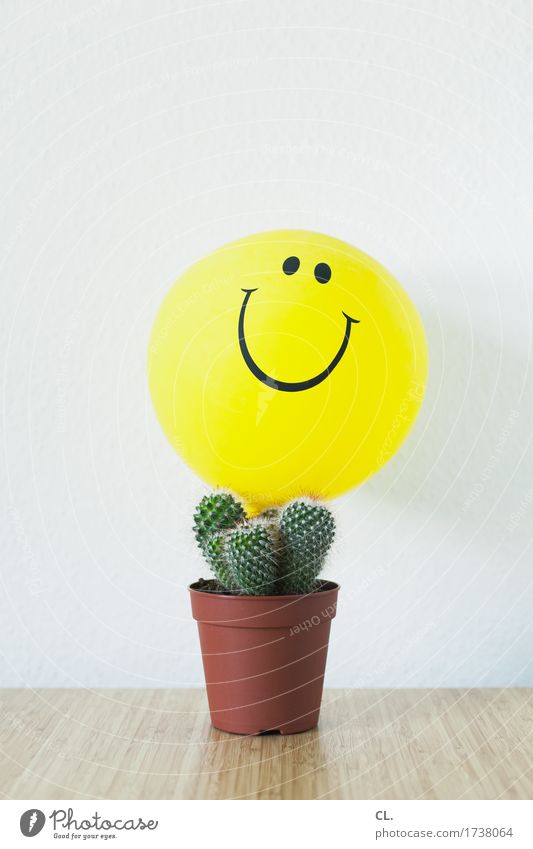 optimist Living or residing Flat (apartment) Interior design Decoration Table Cactus Balloon Smiling Laughter Threat Happiness Positive Point Yellow Dangerous