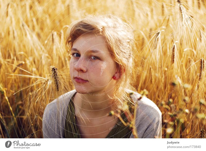 In the cornfield ... Colour photo Exterior shot Copy Space left Copy Space right Evening Sunrise Sunset Back-light Portrait photograph Looking into the camera