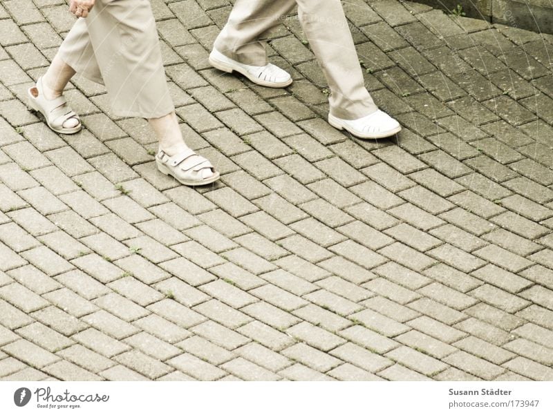 Growing old together Subdued colour Exterior shot Detail Copy Space right Copy Space bottom Shadow Woman Adults Man Female senior Couple Legs Feet 2 Human being