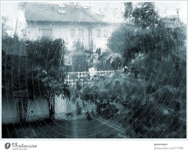 downpour Rain House (Residential Structure) Window Thunder and lightning Garden