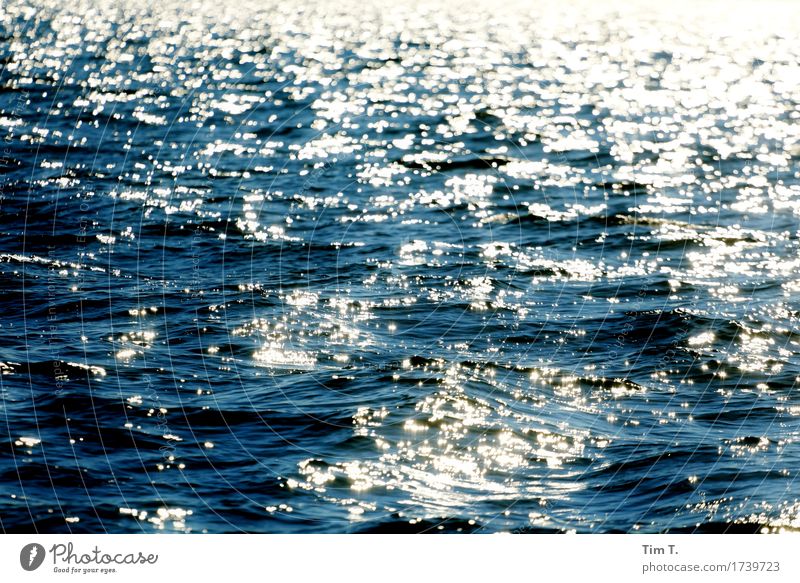 The sea Environment Nature Landscape Water Summer Ocean Baltic Sea Horizon Lake Waves Swell Colour photo Exterior shot Deserted Day Light Contrast Reflection