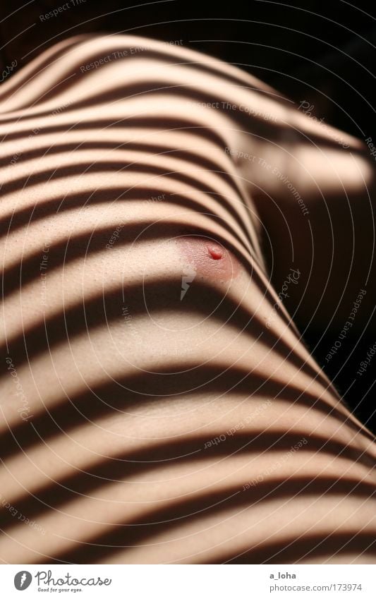 sometimes life is just striped. Masculine Man Adults Chest 1 Human being Sun Line Stripe Relaxation Lie Esthetic Beautiful Eroticism Strong Trust