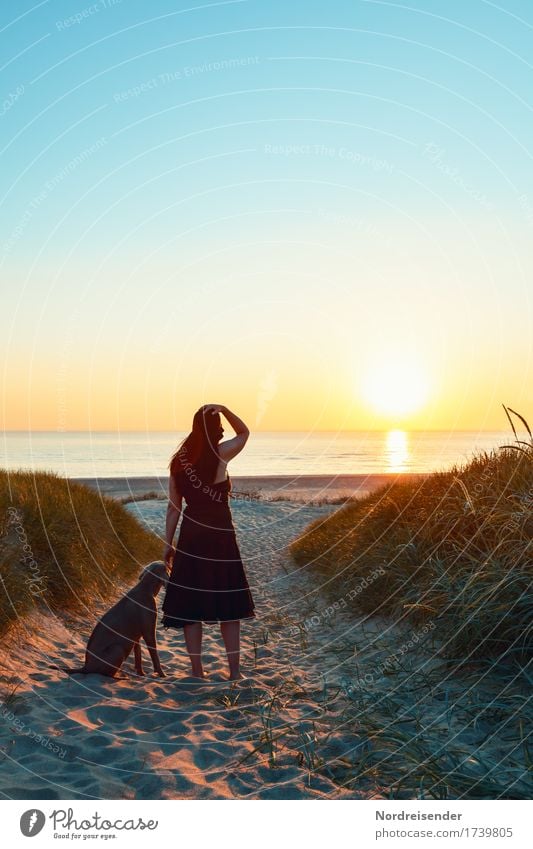 Evening at the sea Lifestyle Calm Vacation & Travel Tourism Far-off places Freedom Camping Summer Summer vacation Beach Ocean Human being Feminine Woman Adults
