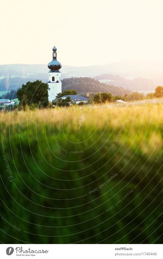 Bavarian Forest onion tower Landscape Cloudless sky Summer Beautiful weather Grass Field Hill Village Deserted Church Tower Church spire Onion tower Relaxation