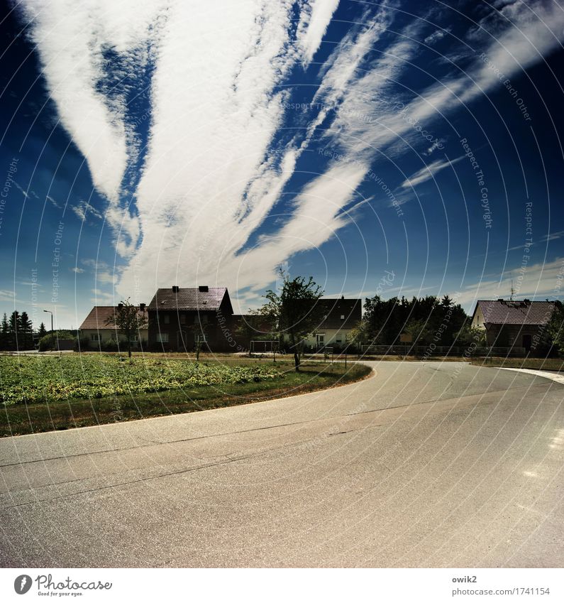 windswept Sky Clouds Horizon Climate Beautiful weather Tree Grass Bushes Field Street lighting Lamp post Teltow-Fläming district Germany Village