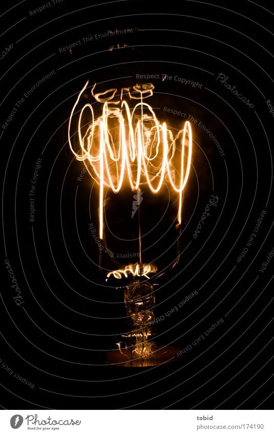 light bulb carbon wire Technology Science & Research Energy industry Inspiration Light Colour photo Close-up Electric bulb Invention Dark Illuminate Glow