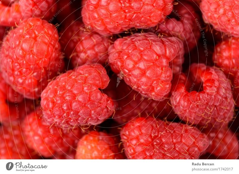 Red Raspberry Fruits Food Nutrition Eating Breakfast Organic produce Vegetarian diet Diet To feed Feeding Simple Healthy Beautiful Juicy Sweet Energy Exotic